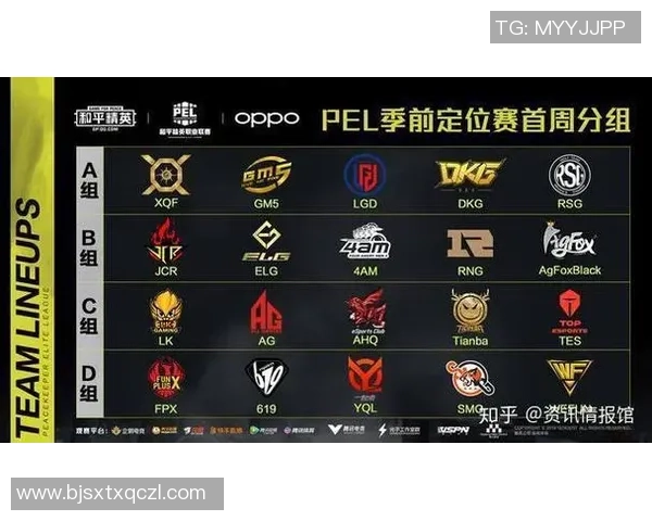 和平精英意识排行榜揭晓RNG战队荣登第七名引发热议